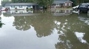 Water Damage Restoration Local Area Flooding Event