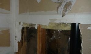 Mold Damage Restoration of Drywall