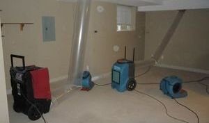 Water Damage and Mold Cleanup In Game Room